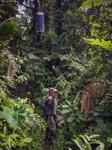 Setting up traps in the forest near Chuchuvi, Esmeraldas.